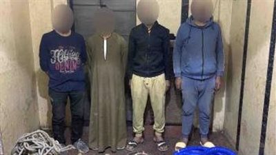 ضبط 4 أشخاص للتنقيب عن الآثار داخل عقار بمنشأة ناصر