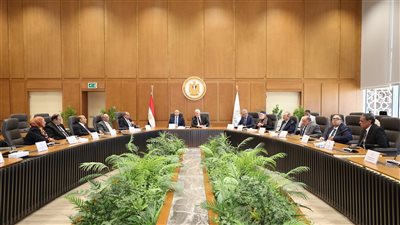 عاشور: خطة للتوسع في إنشاء رافد تكنولوجي ودولي لكل جامعة حكومية