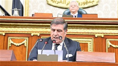 النواب يوافق على تشكيل مجلس التنسيق الأعلى المصري السعودي