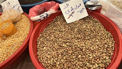  اسعار البقوليات والتوابل بمعارض أهلا رمضان بالبحيرة (فيديو وصور)