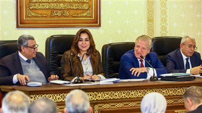  وزيرة التنمية المحلية: اعتماد كتل البناء والمتناثرات بـ16 محافظة وبدء التصالح 