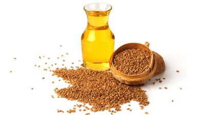 فوائد زيت الحلبة، لصحة معدتك وتنظيم السكر