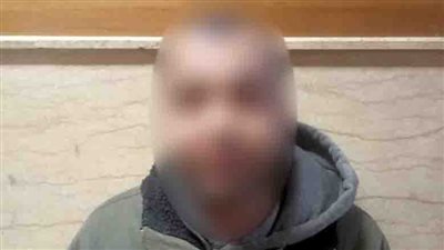 الأمن يكشف ملابسات فيديو فتك كلب شرس بآخر في المنيل