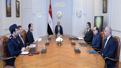 السيسي يتابع جهود تحقيق الأمن الغذائي وتوفير السلع ودعم القطاع الزراعي والصناعي