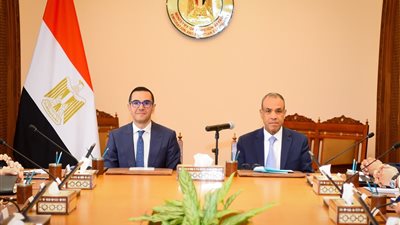 وزيرا الخارجية والاستثمار يبحثان دعم الاستثمار الاجنبي المباشر بمصر (صور)