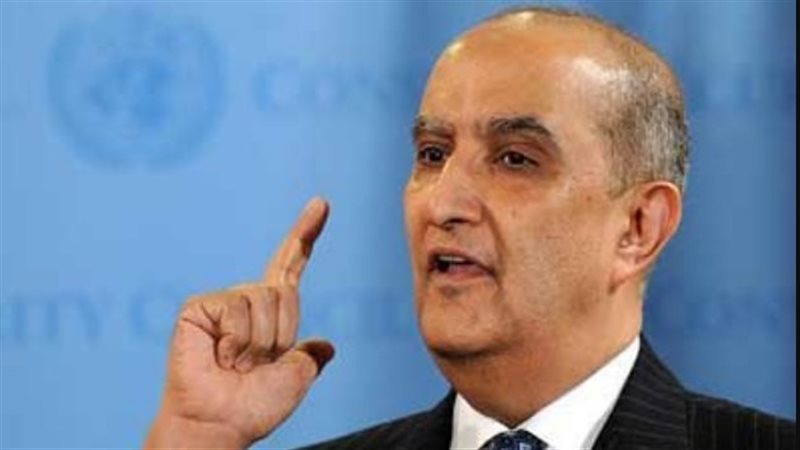 السفير ماجد عبد الفتاح،