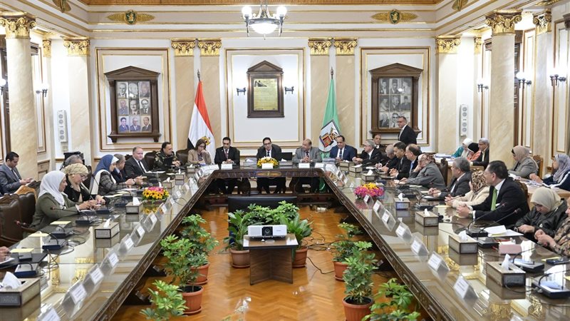 مجلس جامعة القاهرة