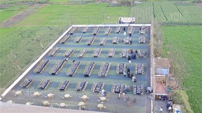 فرحة اللمة مع العائلات والجيران، الشراقوة ينظمون موائد إفطار جماعية (صور)