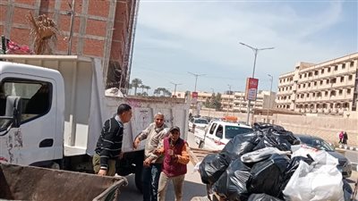 ضبط 9 تروسيكلات وعربة كارو خلال حملات لمواجهة نباشي القمامة بالدقهلية 