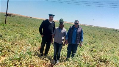 استرداد 8 آلاف و400 متر مربع أراض زراعية بأرمنت في الأقصر