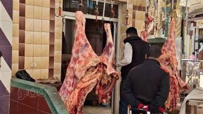 ضبط ربع طن لحوم مذبوحة خارج المجزر وأسماك مجهولة المصدر بكفر الشيخ