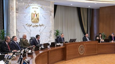 الحكومة تقرر مد خدمة 181 من أعضاء المهن الطبية بوزارة الصحة لمدة عامين