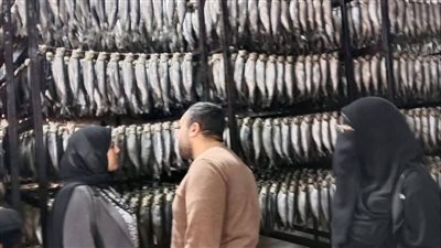 تحرير 186 مخالفة تموينية خلال حملة في الإسماعيلية (صور) 