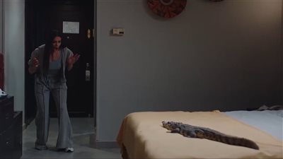 مسلسل عايشة الدور الحلقة 12، أميرة أديب تكتشف كذب دنيا سمير غانم