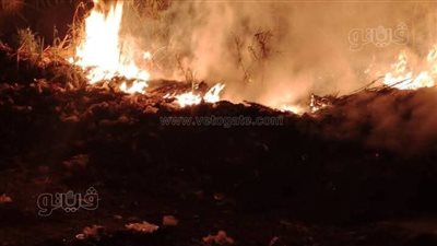 حريق يلتهم إحدى الحدائق بقرية ميت الليت هاشم في الغربية (صور)