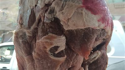 حملة تموينية تضبط 6 أطنان لحوم وفسيخ وسردين فاسدة بالقاهرة 