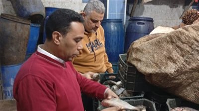 ضبط 7 أطنان أسماك ورنجة وفسيخ مخالفة للمواصفات في حملة بالدقهلية 