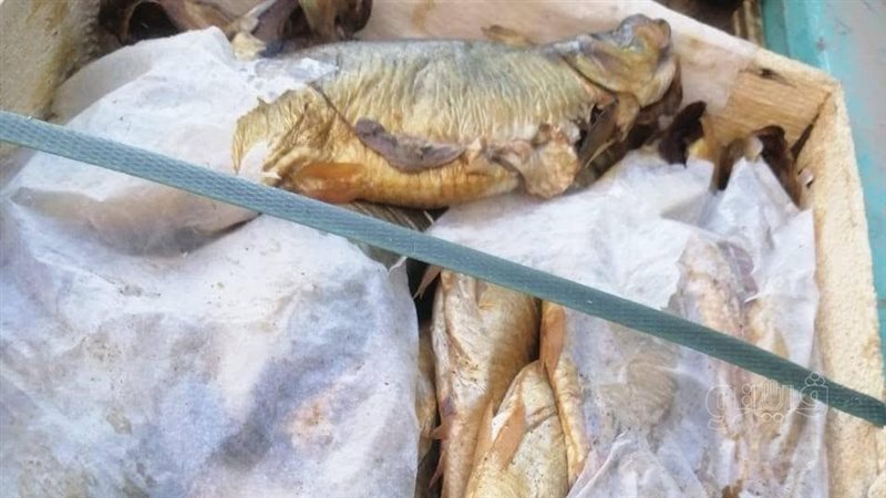 المضبوطات 