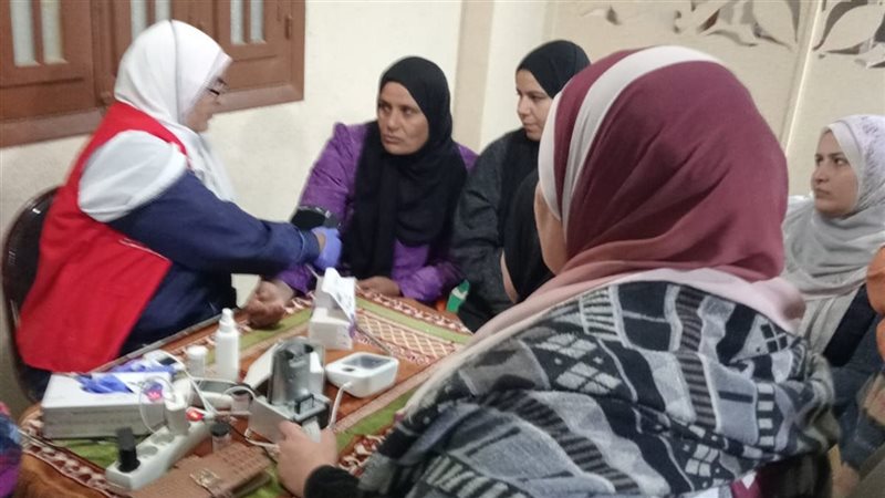 حملات صحية بالدقهلية،