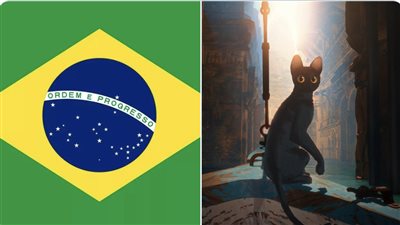 زيادة في أعداد تبني القطط السوداء في البرازيل بعد فوز فيلم Flow بالأوسكار