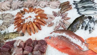 سعر السمك اليوم بسوق العبور، الدنيس بـ 90 جنيها وهذا موقف البلطي والمكرونة قبل العيد