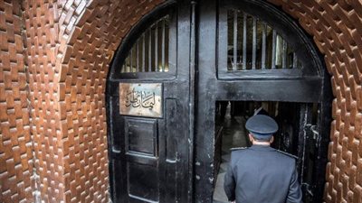 تعرف على شروط العفو الرئاسي بعد قرار الرئيس