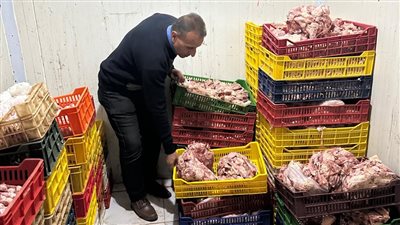  ضبط طن دجاج فاسد خلال حملات على المحال والأسواق في الدقهلية 