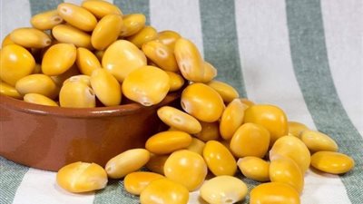 الترمس كنز غذائي بفوائد مذهلة ومحاذير يجب الانتباه إليها