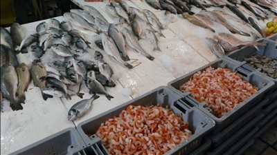  سعر السمك اليوم، البلطي الأسواني يتراجع 12 جنيهًا في الأسواق