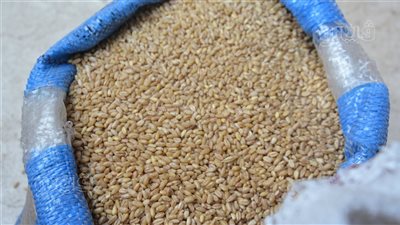 أسعار البقوليات والحبوب تزامنًا مع زكاة الفطر 2025.. الأرز يبدأ من 25 جنيهًا والفول بـ 60.. وهذا رأي مفتي الجمهورية في إخراجها نقودًا (صور)