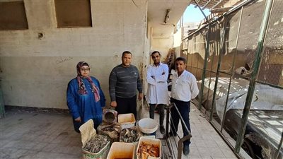 ضبط 100 كيلو ملوحة فاسدة في سوهاج (صور)