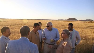 على مساحة 200 فدان، الزملوط يتفقد مشروع استثمار زراعي واعد بـ