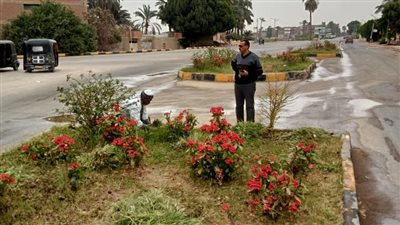 الحدائق العامة في سوهاج تستعد لاستقبال عيد الفطر