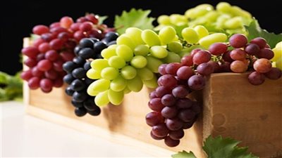 تفسير حلم زرع العنب في المنام وعلاقته بالثروة والاستقرار المالي 