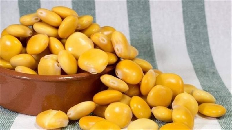الترمس، فيتو