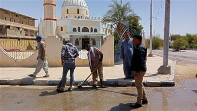 حملة نظافة بمحيط المساجد والمتنزهات لاستقبال العيد في سوهاج (صور)