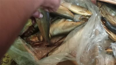 تحرير 107 مخالفات في حملة تموينية على أسواق الفيوم خلال 48 ساعة