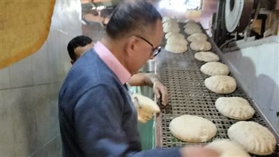 تحرير 224 مخالفة تموينية في حملات على الأسواق بالدقهلية