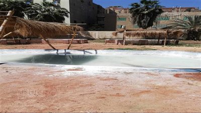 مدير حديقة حيوان الشرقية: مفاجآت جديدة للزوار بالعيد