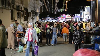 يا ليلة العيد آنستينا، شاهد فرحة المصريين بوقفة عيد الفطر بمصر الجديدة وحدائق المعادي (فيديو وصور)