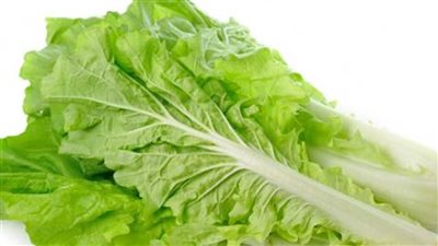 فوائد الخس، ينقص الوزن ويقوى المناعة 