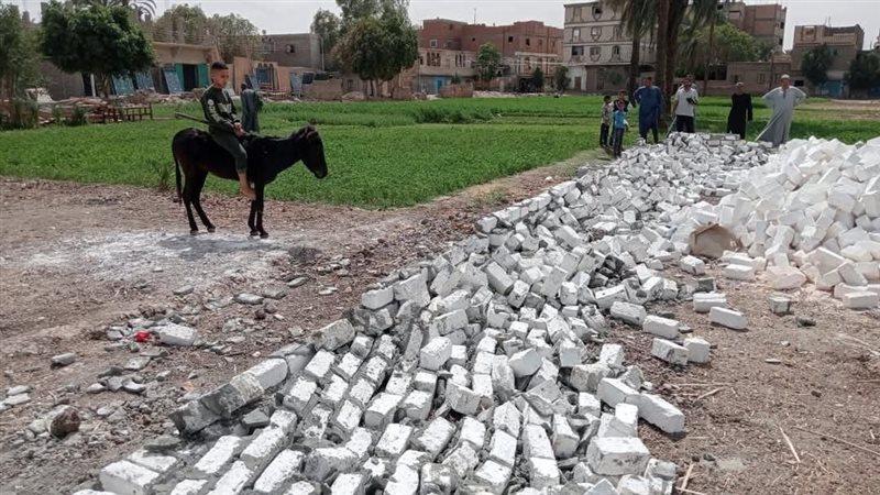 قنا،فيتو