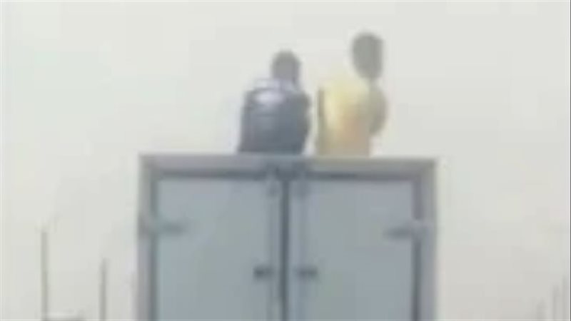 فيديو السويس، فيتو