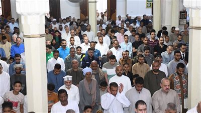 محافظ قنا يؤدي صلاة عيد الفطر المبارك وسط جمع غفير من الأهالي (صور)