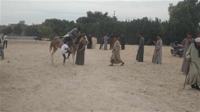 ركوب الموتوسيكل والحصان أبرز مظاهر احتفال أطفال سوهاج بأول أيام عيد الفطر (فيديو)