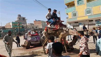 العيد فرحة، أطفال الشرقية يحتفلون بركوب الخيل والجمال والمراجيح والمراكب (صور)