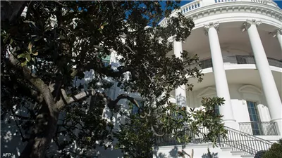 ترامب يعلن عن إزالة شجرة تاريخية زرعها أندرو جاكسون قرب البيت الأبيض