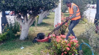حملات مكثفة لتجميل المسطحات الخضراء والميادين بالإسماعيلية (صور)