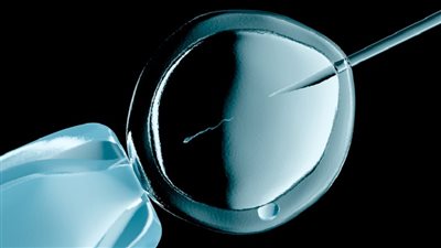 كاميرا متطورة ترصد اللحظات الأولى لتكون الجنين بدقة مذهلة