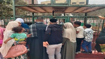 حديقة حيوان الزقازيق: لم نرصد حالات تحرش في عيد الفطرالمبارك